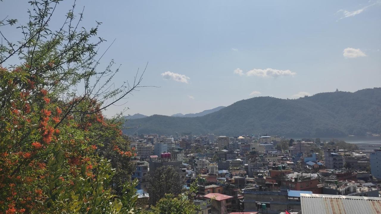 Peace Guesthouse Cottage Pokhara Exterior foto